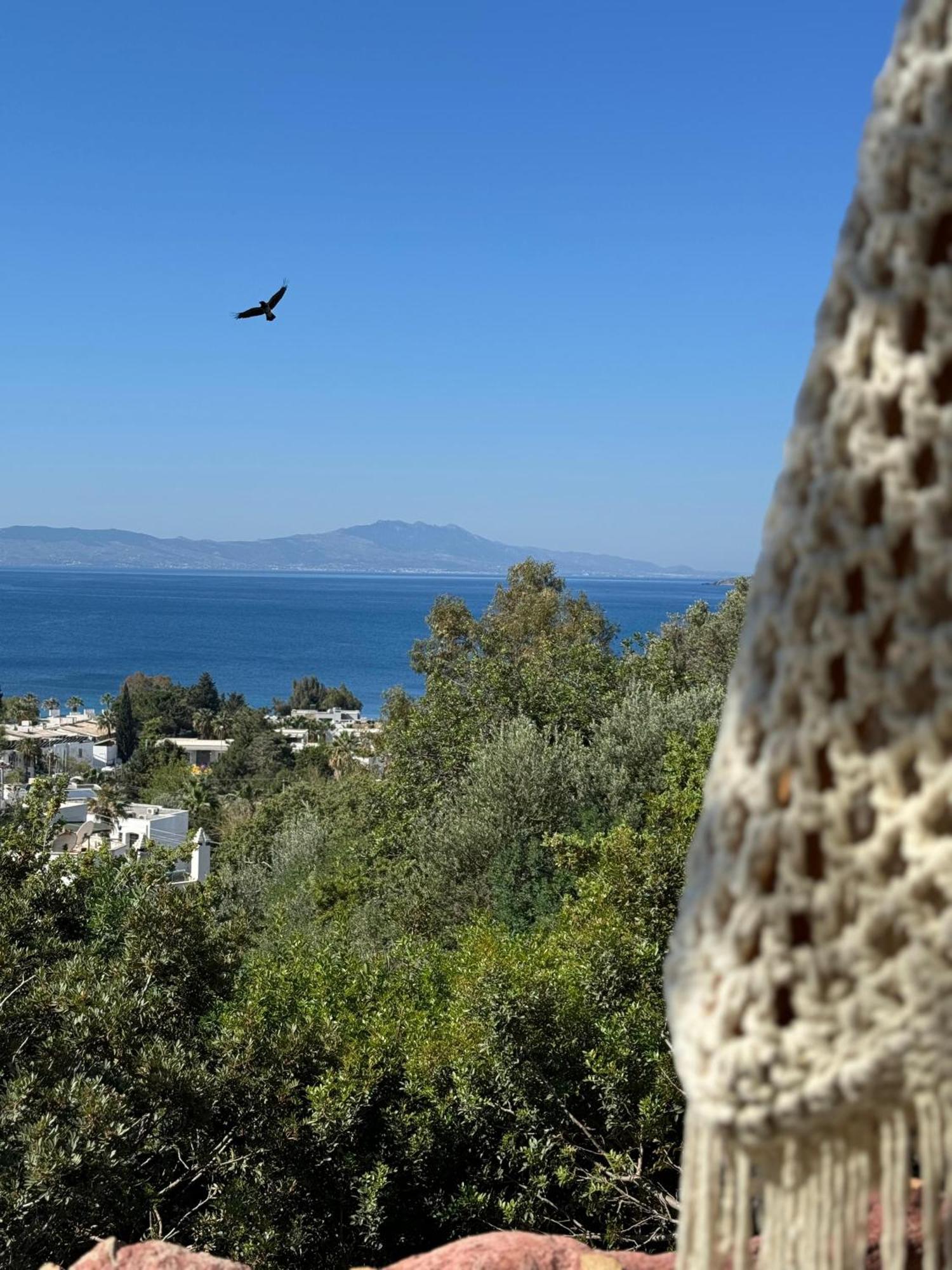 The Aegean Gate Hotel (Adults Only) Бодрум Экстерьер фото